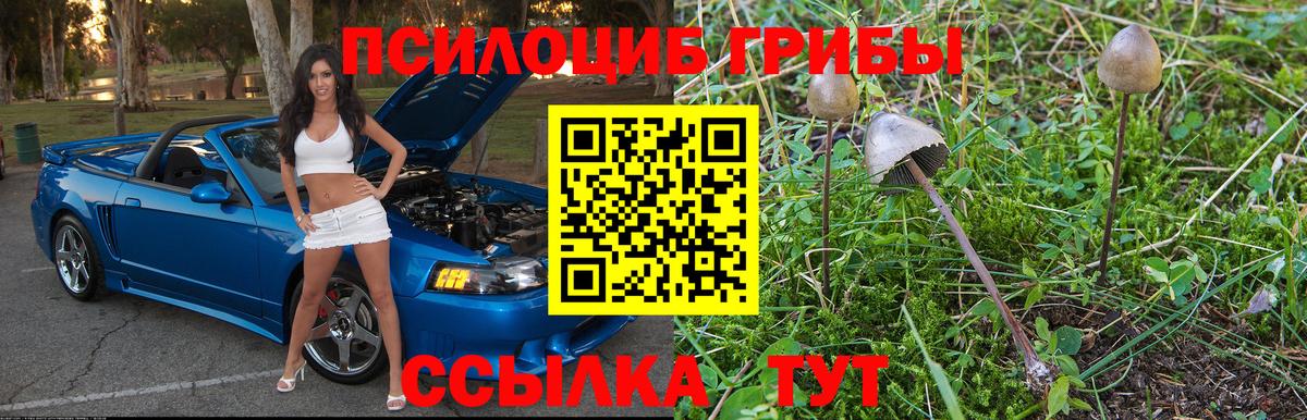 Галлюциногенные грибы GOLDEN TEACHER  Вход с VPN  Шебекино 