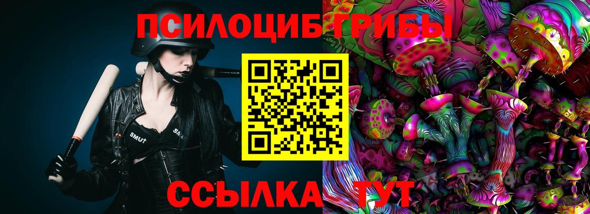 Галлюциногенные грибы прущие грибы Шебекино